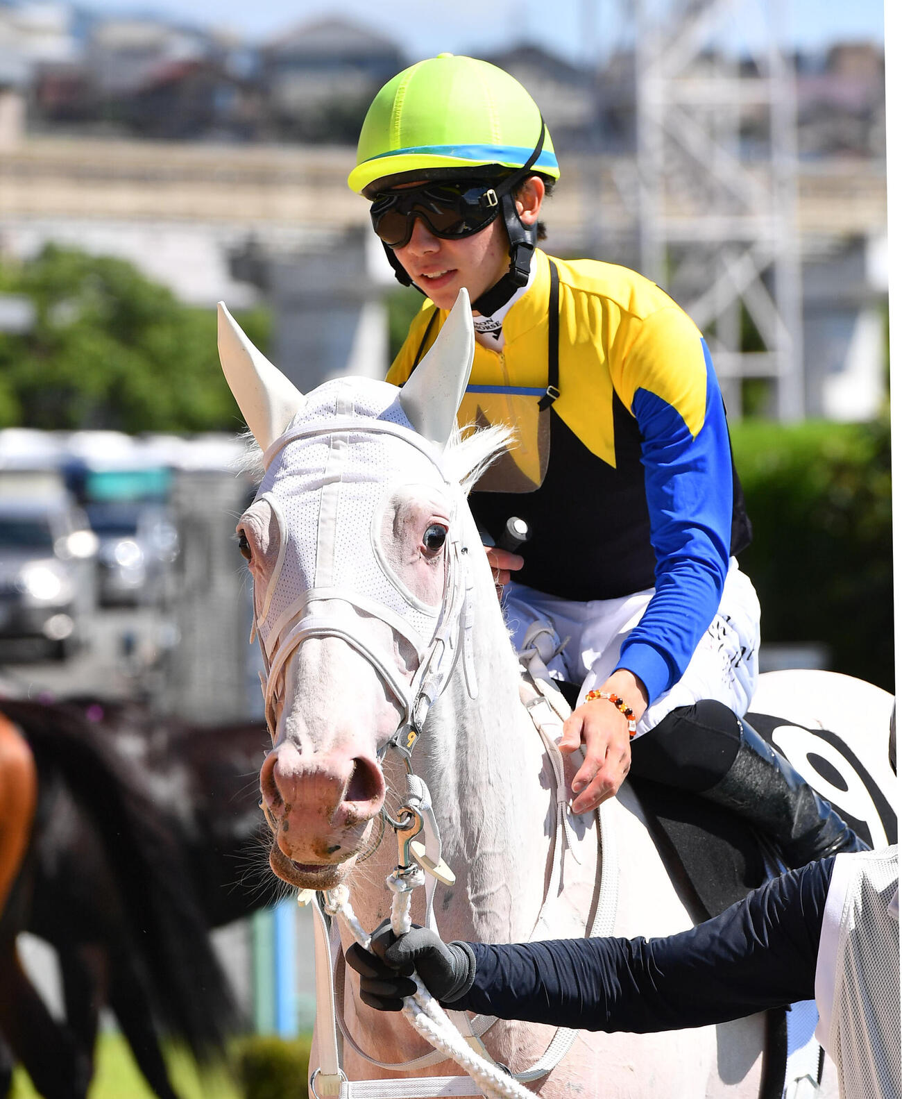 西部日刊スポーツ杯を制したカルパと田山旺佑騎手（撮影・岩下翔太）