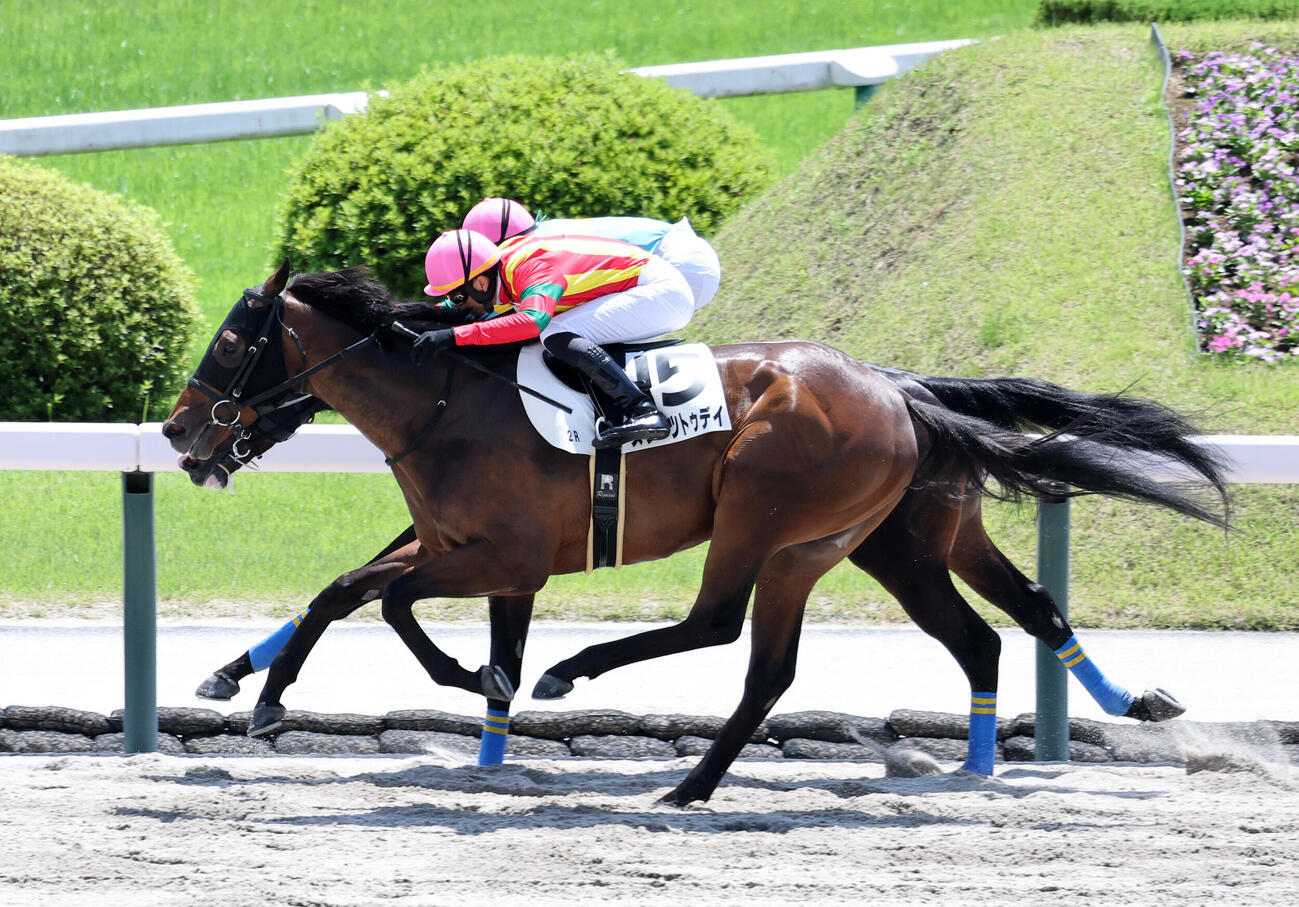 27日福島2R3歳未勝利、直線で激しく競り合うスターツトゥデイとテンオンスゴールド