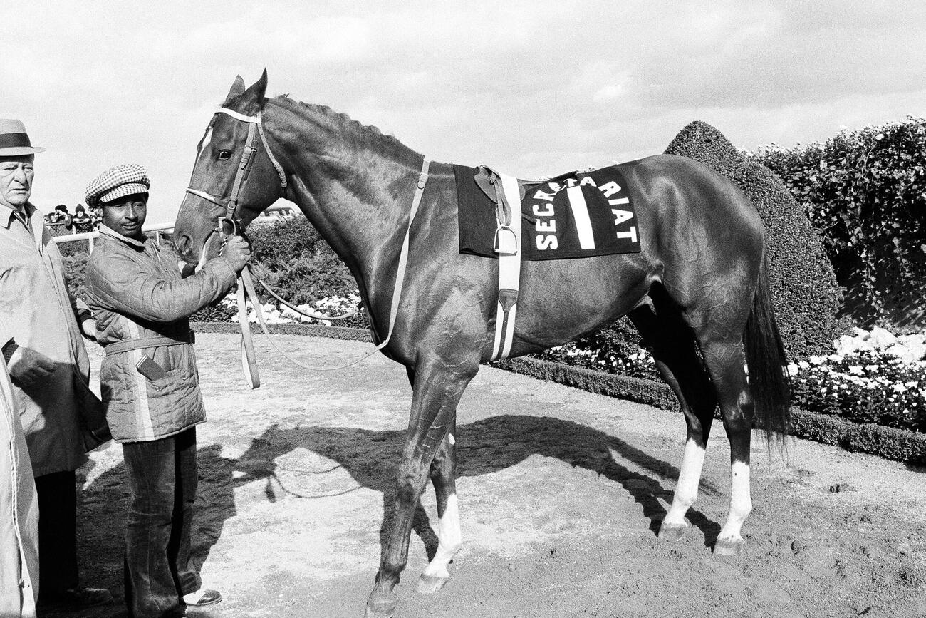 1973年11月、ニューヨークのアケダクト競馬場で、調教師が３冠馬セクレタリアトの手綱を握る（AP）