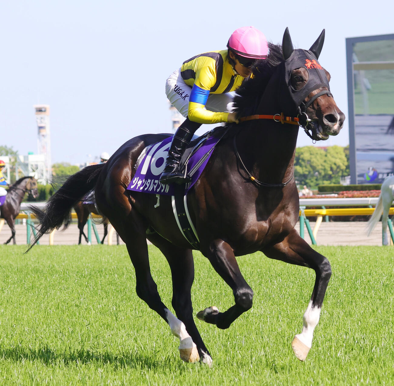 ジャンタルマンタル（2024年5月撮影）