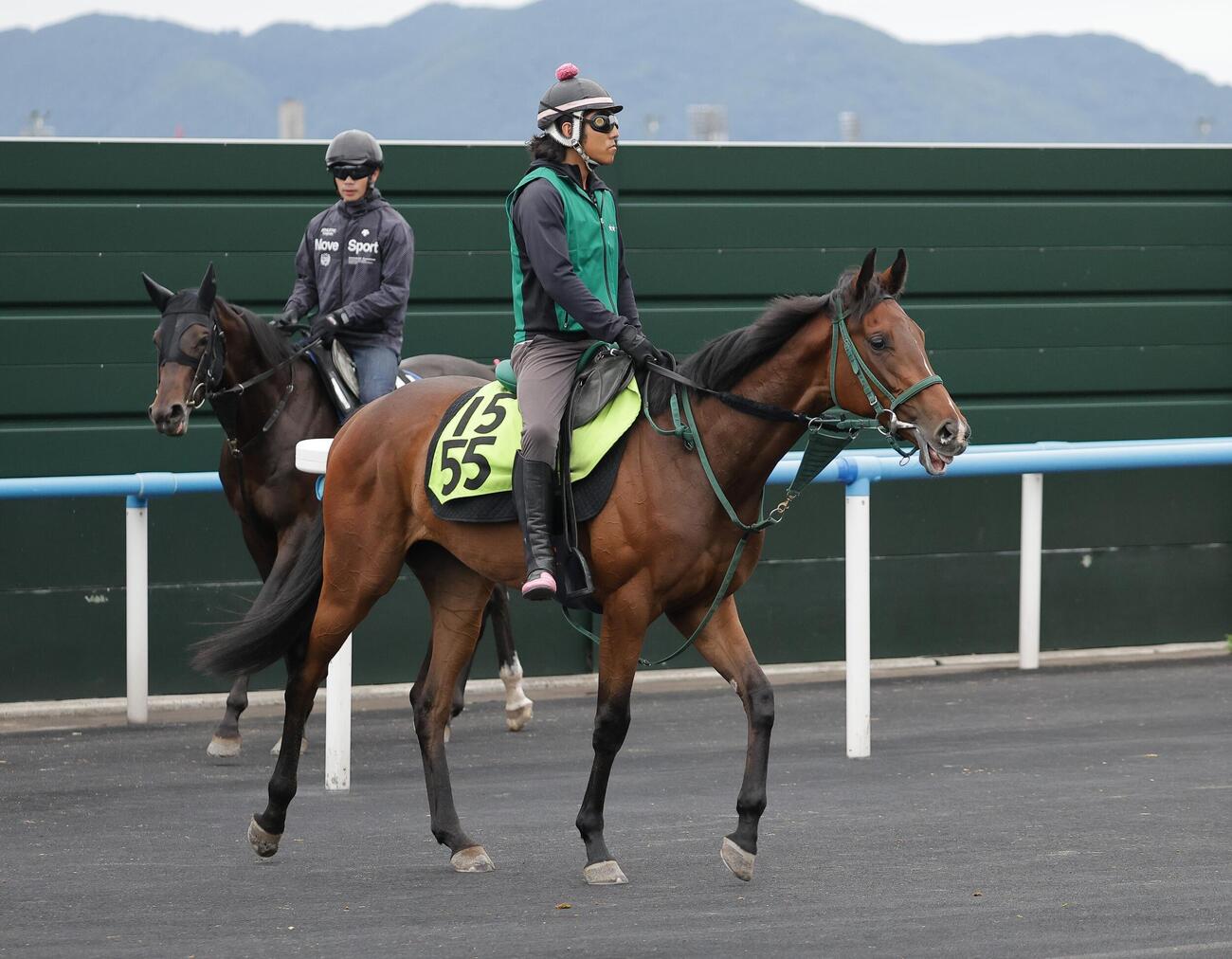 函館競馬場で調整するダノンキューブ