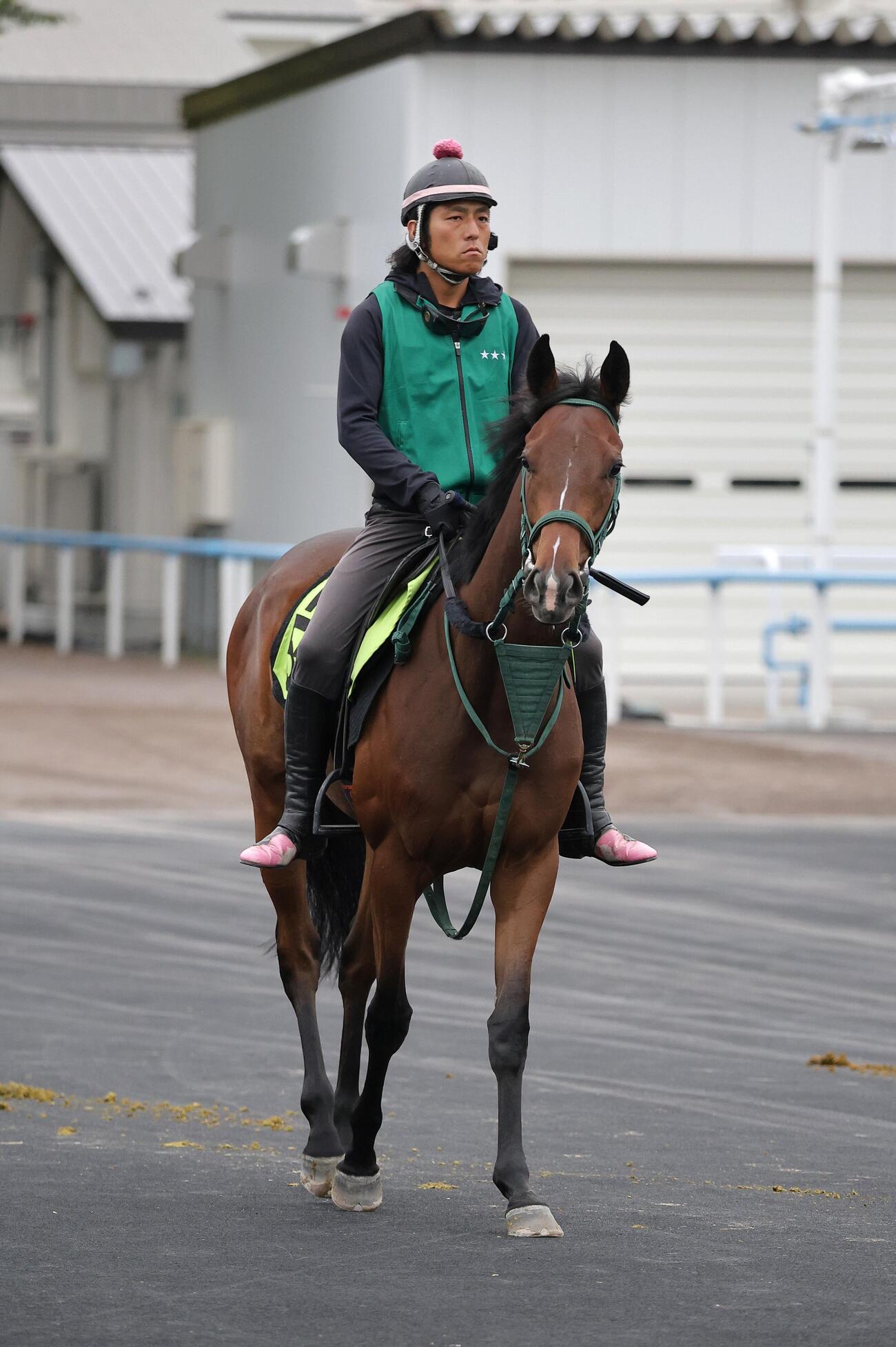 函館競馬場で調整するダノンキューブ