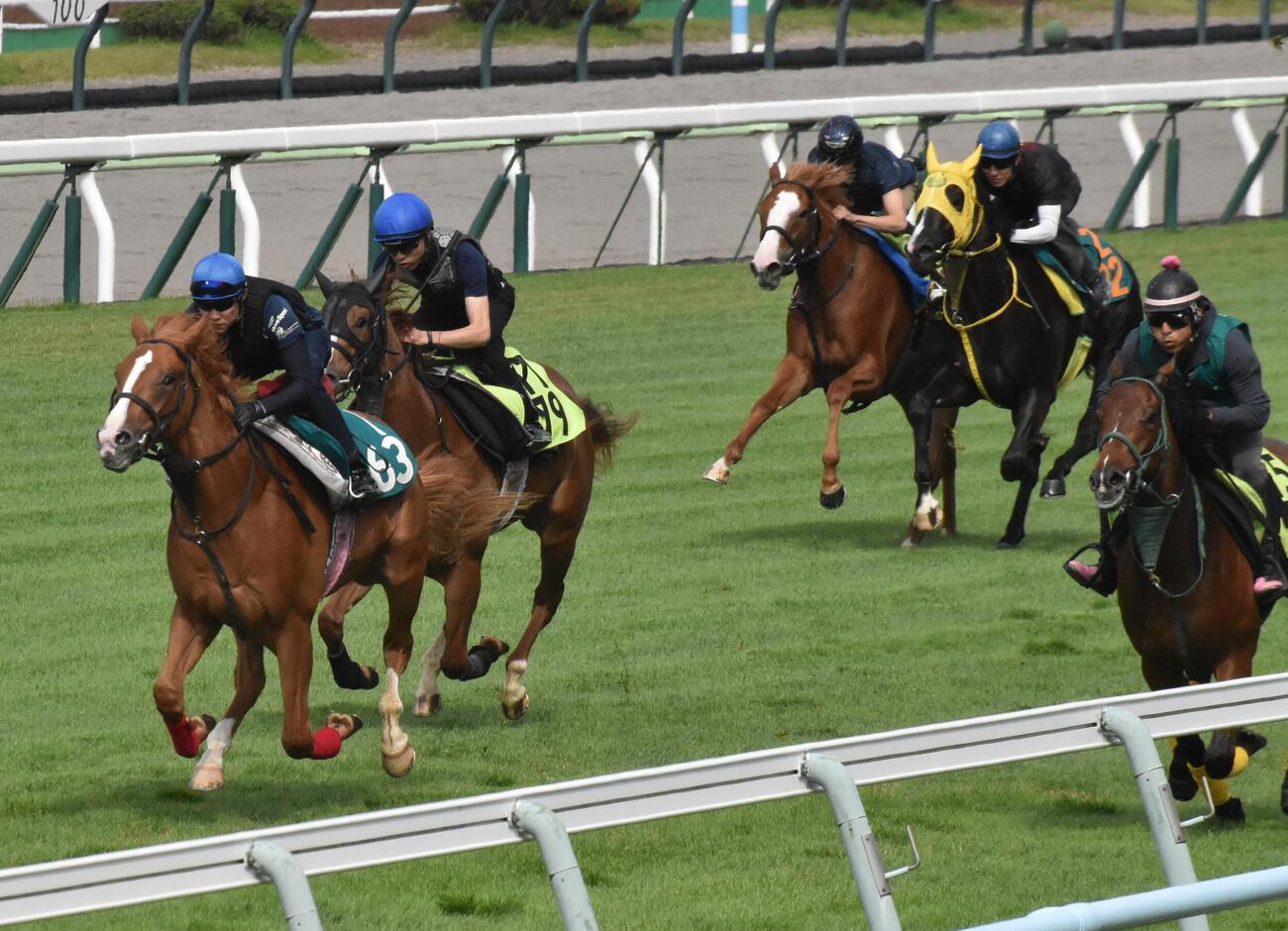 武豊騎手を背にイッペイ（左）は3頭併せで追い切られる（撮影・久野朗）