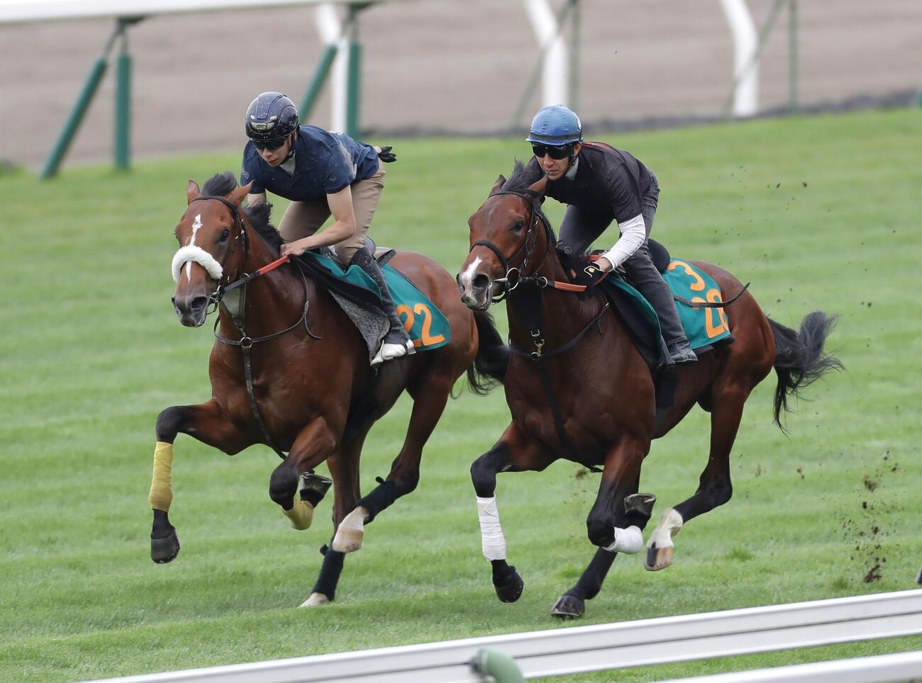 横山武史騎手を背に、芝コースで併せ馬で追い切られるスーパーユタカ（左）
