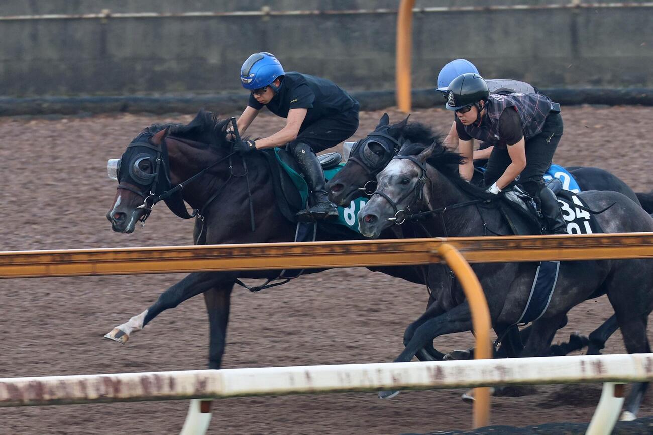 注目新馬（追い切り）　団野大成騎手が騎乗し、3頭併せで好タイムをマークしたエルドボルグ（左）。