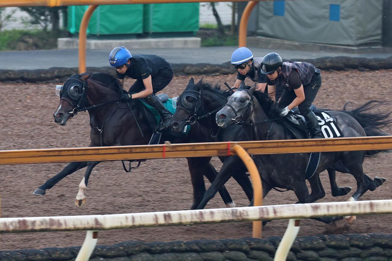 注目新馬（追い切り）　団野大成騎手が騎乗し、3頭併せで好タイムをマークしたエルドボルグ（左）。
