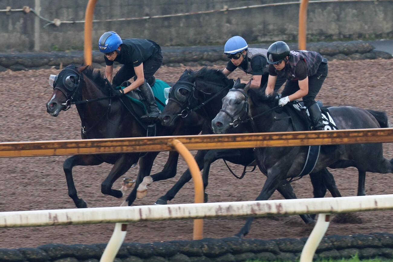 注目新馬（追い切り）　団野大成騎手が騎乗し、3頭併せで好タイムをマークしたエルドボルグ（左）。