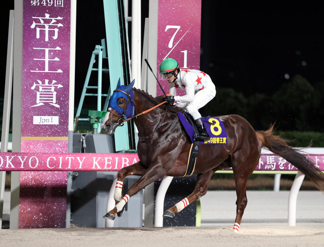 帝王賞を制したミッキーファイトと戸崎圭太騎手（撮影・柴田隆二）