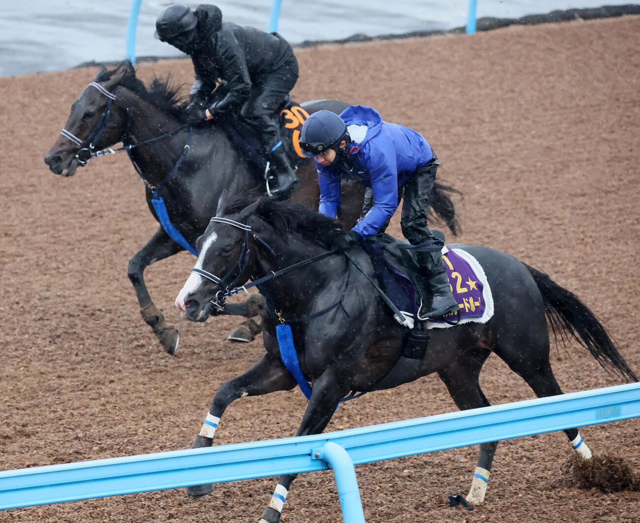 マスカレードボール（手前）は嶋田純次騎手を背にイモータリスと併せて追い切られた（撮影・丹羽敏通）