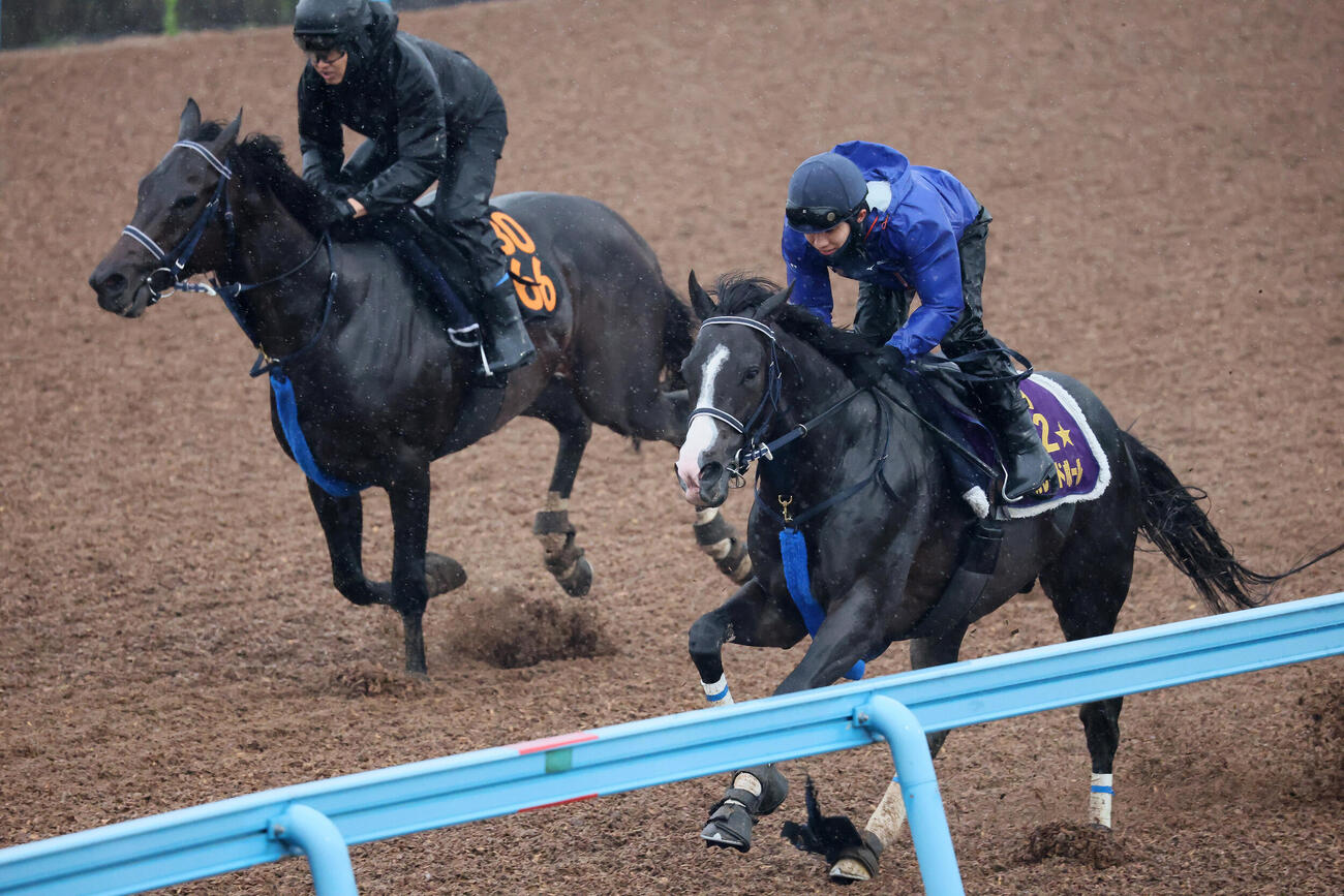 マスカレードボール（右）は嶋田純次騎手を背に美浦ウッドでイモータリスと併せて追い切られた（撮影・丹羽敏通）
