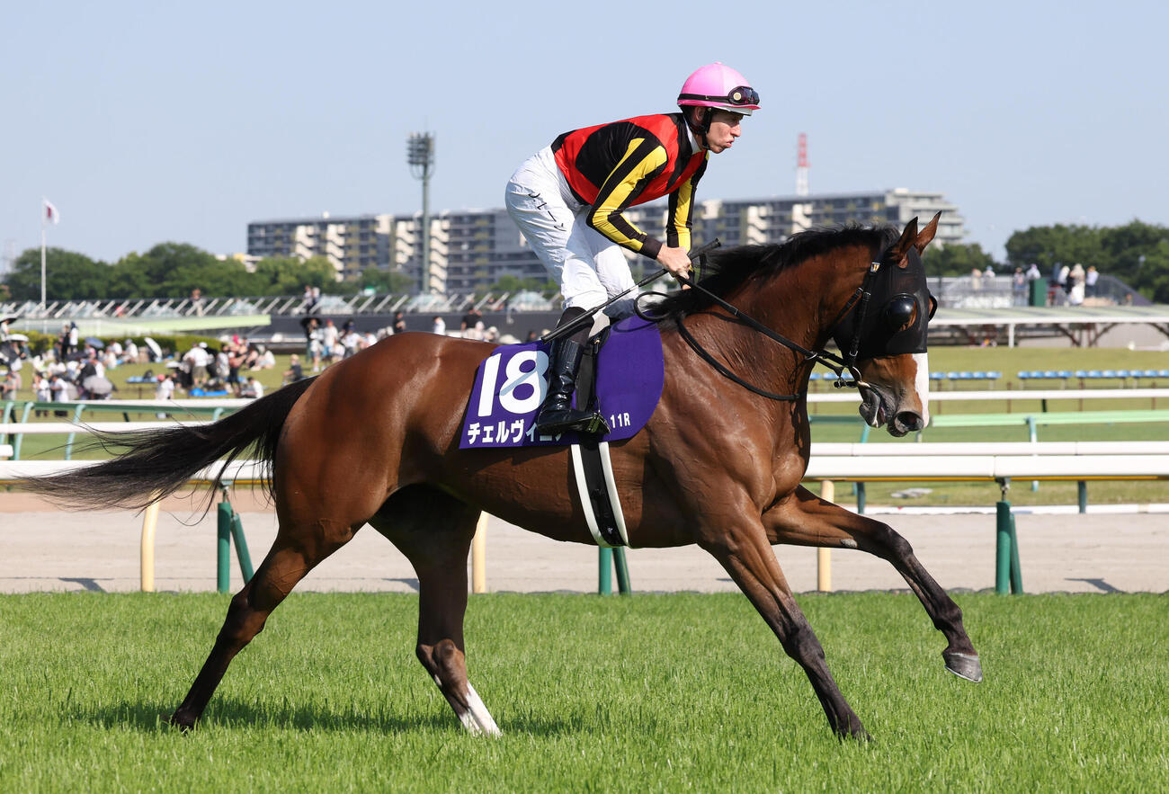 チェルヴィニア（2026年5月撮影）