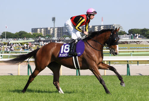ヴィクトリアM16着の2冠牝馬チェルヴィニアは新潟記念へ向かう／有力