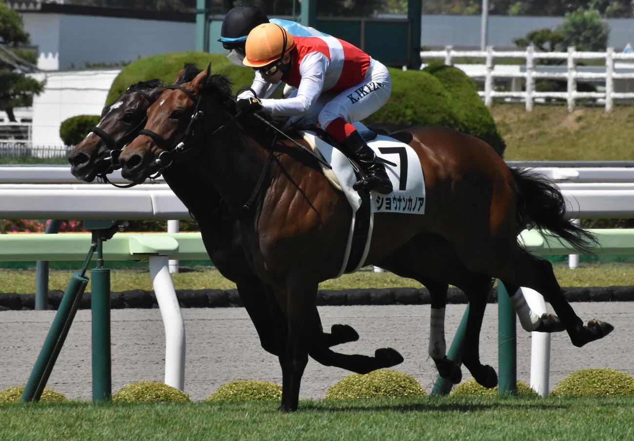 函館1Rで初勝利を挙げたショウナンカノア（手前）