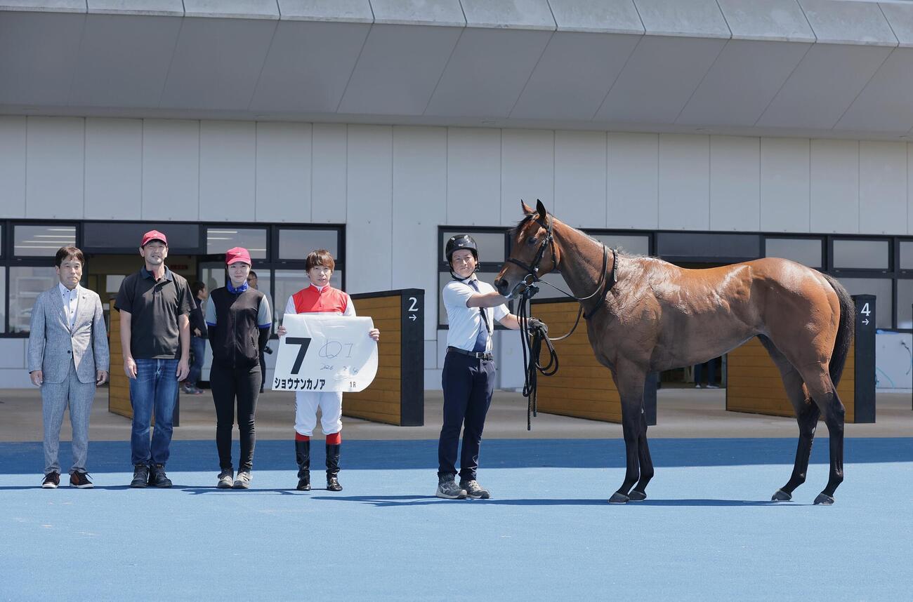 函館1R、2歳未勝利を制したショウナンカノア