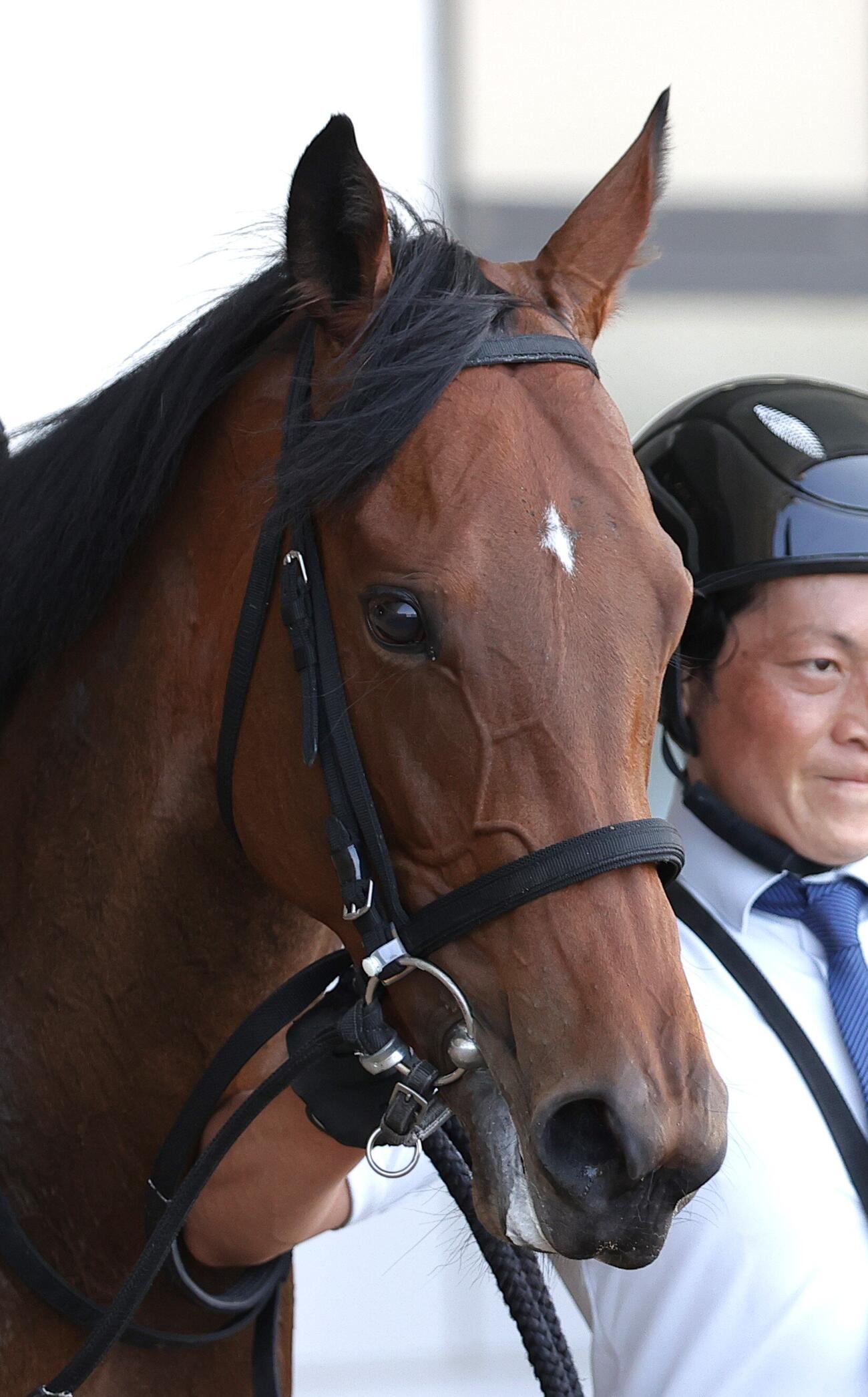 函館1R、2歳未勝利を制したショウナンカノア
