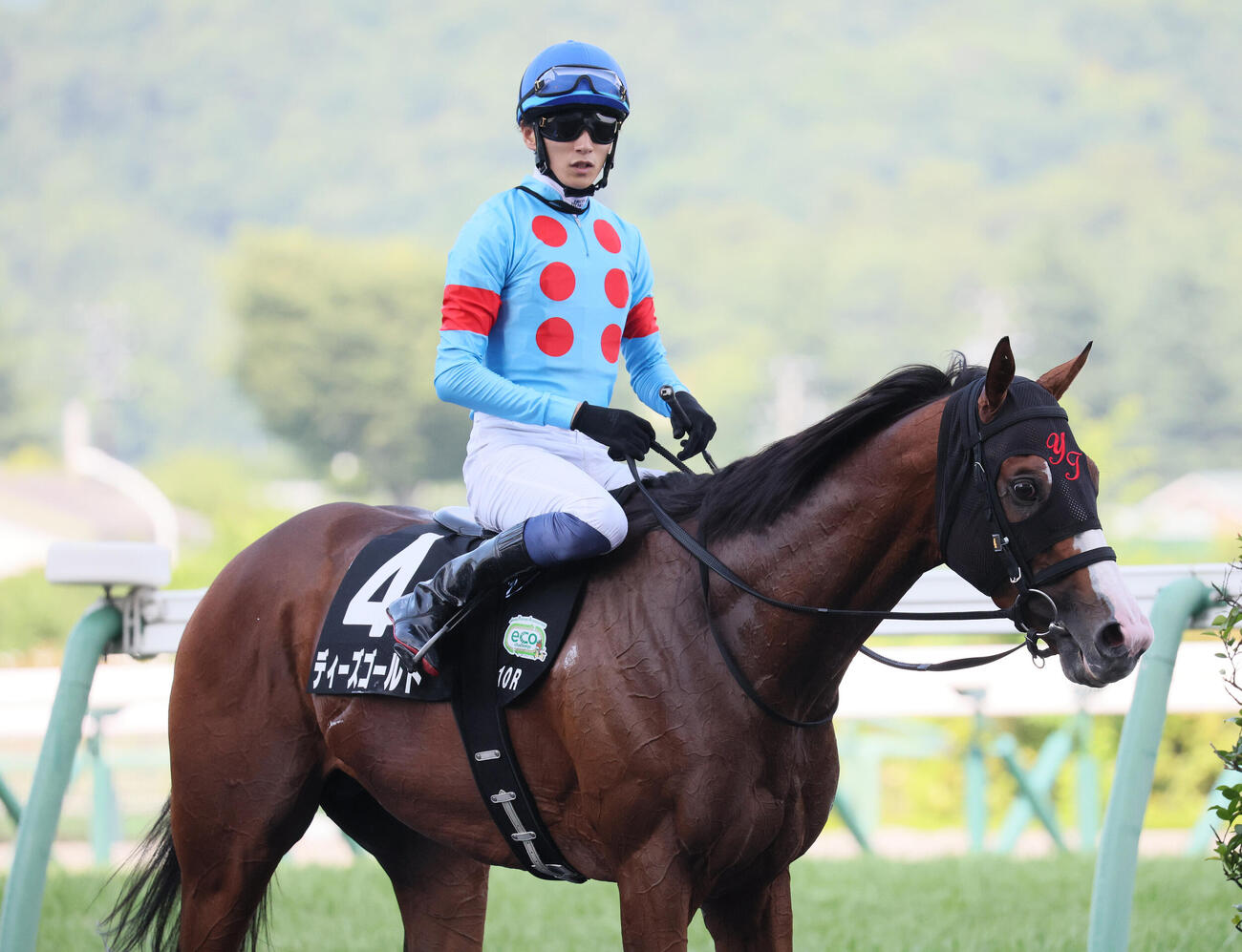 坂井瑠星騎手のエスコートで横手特別を制したディーズゴールドのメンコには田村厩舎のロゴマーク