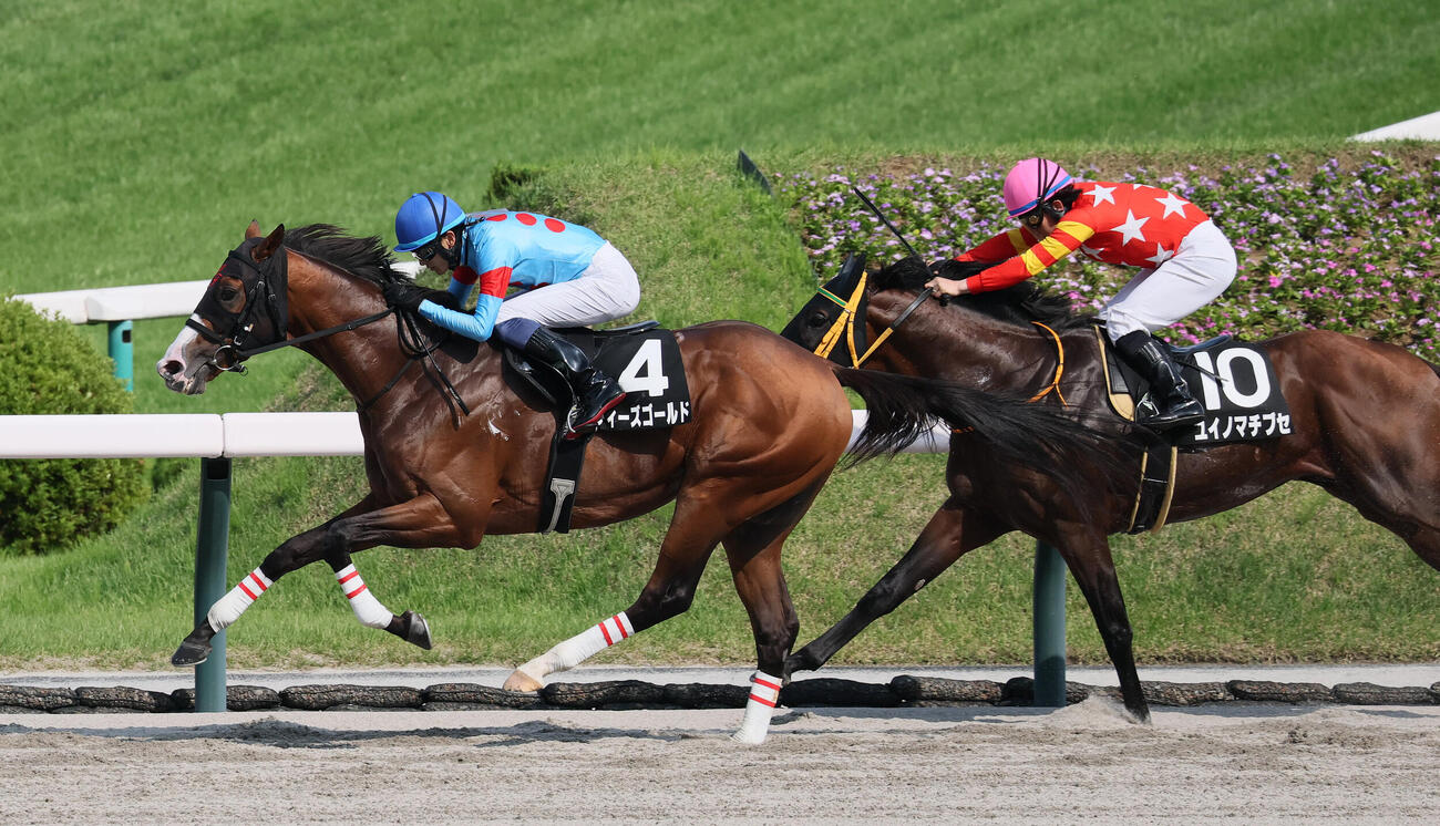 横手特別を制したディーズゴールドと坂井瑠星騎手（撮影・丹羽敏通）