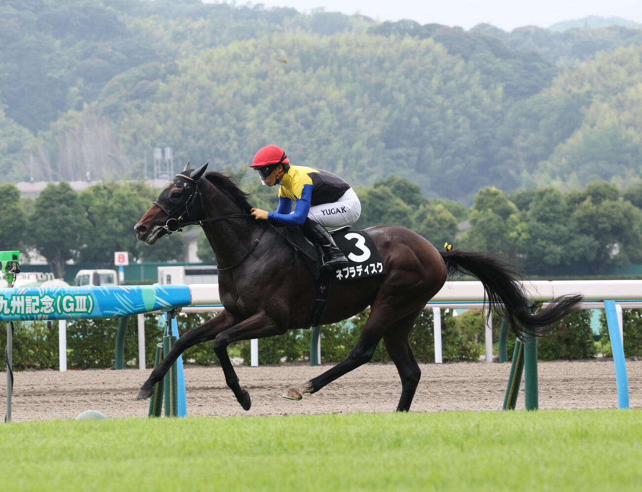 ネブラディスクと川田将雅騎手は直線で早々と抜けだしそのままゴール、博多Sを制す（撮影・梅根麻紀）