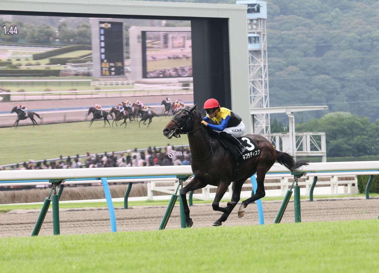 ネブラディスクと川田将雅騎手は直線で早々と抜けだしそのままゴール、博多Sを制す（撮影・梅根麻紀）