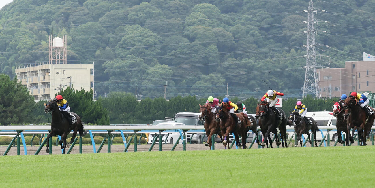 ネブラディスクと川田将雅騎手は直線で早々と抜けだしそのままゴール、博多Sを制す（撮影・梅根麻紀）