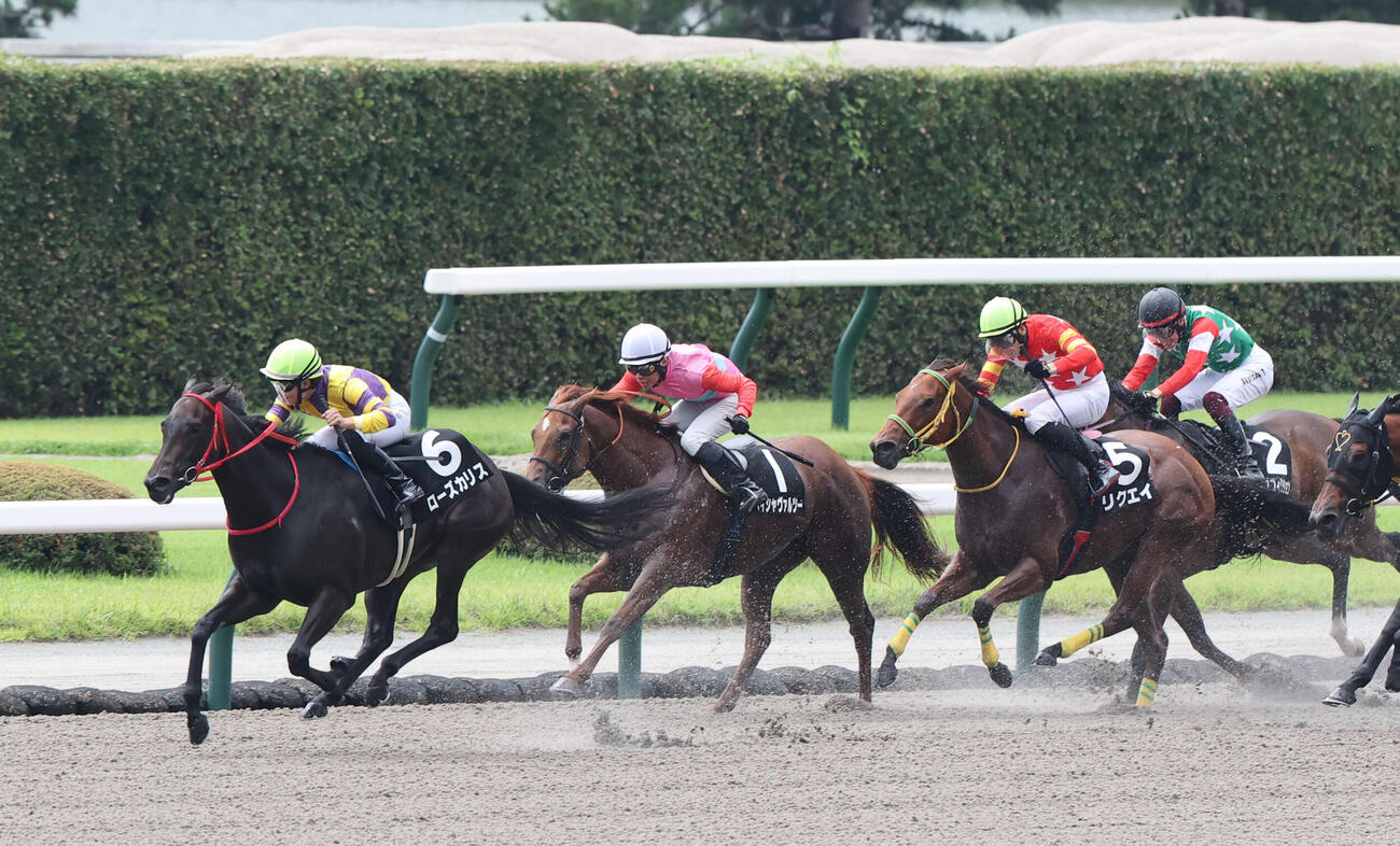 10R　雲仙特別　6番ローズカリスと田口貫太騎手は直線で馬群から抜け出しそのまま逃げ切ってゴール、雲仙特別を制す（撮影・梅根麻紀）