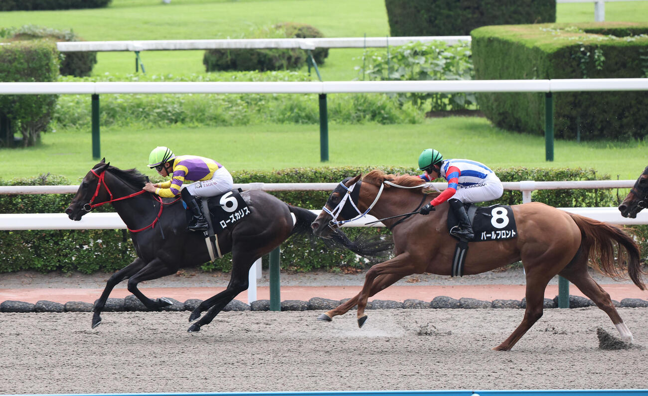 10R　雲仙特別　6番ローズカリスと田口貫太騎手は直線で馬群から抜け出しそのまま逃げ切ってゴール、雲仙特別を制す（撮影・梅根麻紀）