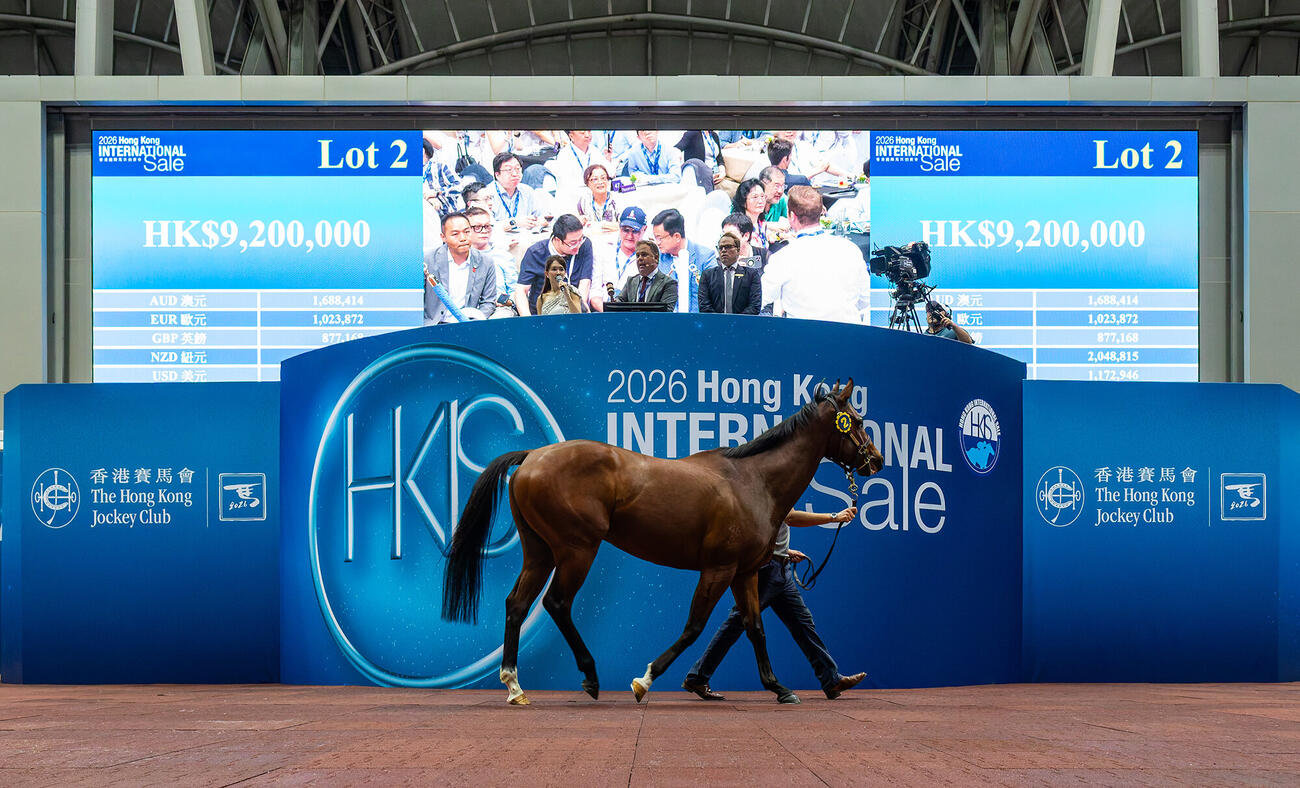 香港インターナショナルセールの様子（C）The Hong Kong Jockey Club