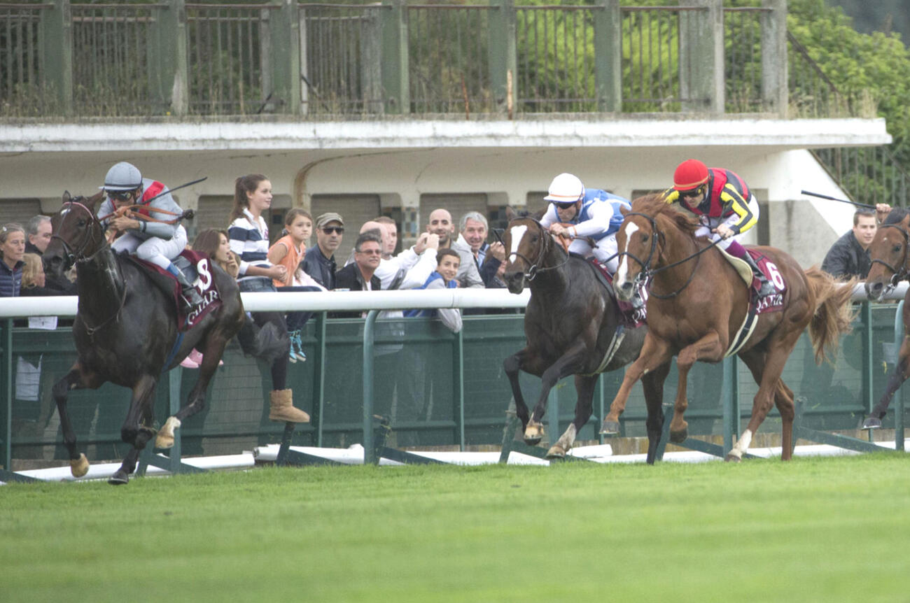 13年凱旋門賞を制したトレヴ（左）。右は2着オルフェーヴル