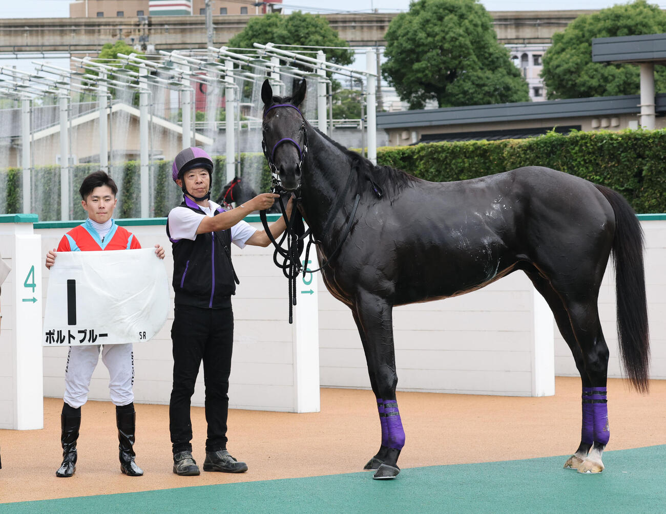 5R 2歳新馬　2歳新馬を制した1番ポルトブルーと西村淳也騎手（撮影・梅根麻紀）