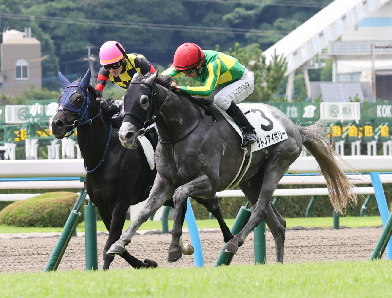サトノアイボリー（右）とジェイソン・コレット騎手は小倉8Rを制す（撮影・梅根麻紀）