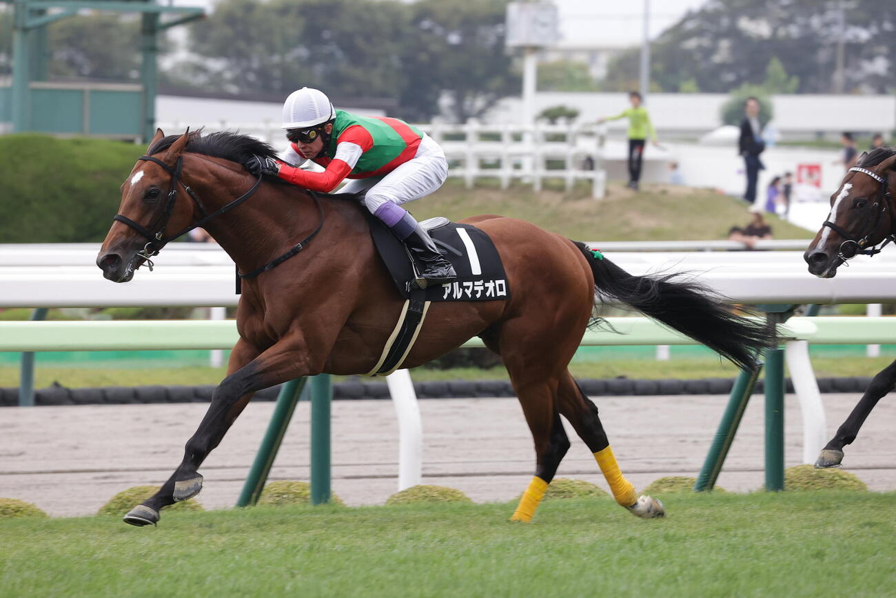 横津岳特別を制したアルマデオロと武豊騎手
