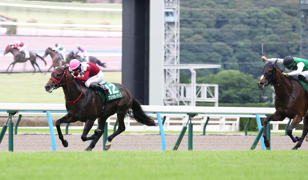 北九州記念を制したフリッカージャブと松山弘平騎手（撮影・梅根麻紀）