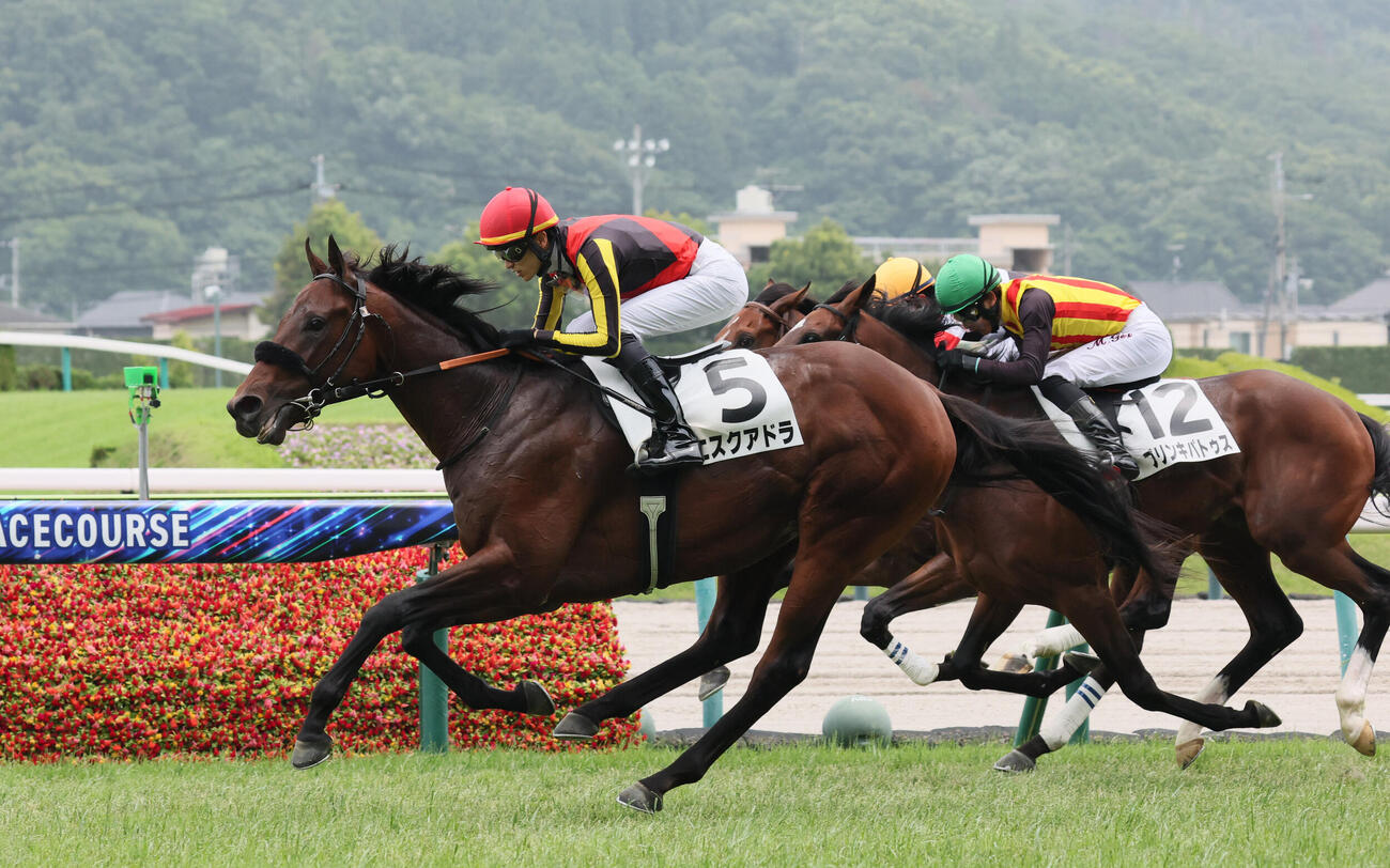 福島5R、直線外から伸びて2歳新馬戦を制したエスクアドラと坂井瑠星騎手
