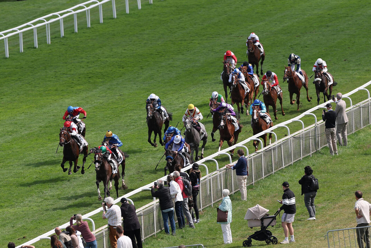 ドイツダービーはダルダロスが制す（C）Marc Ruhl／Deutscher Galopp