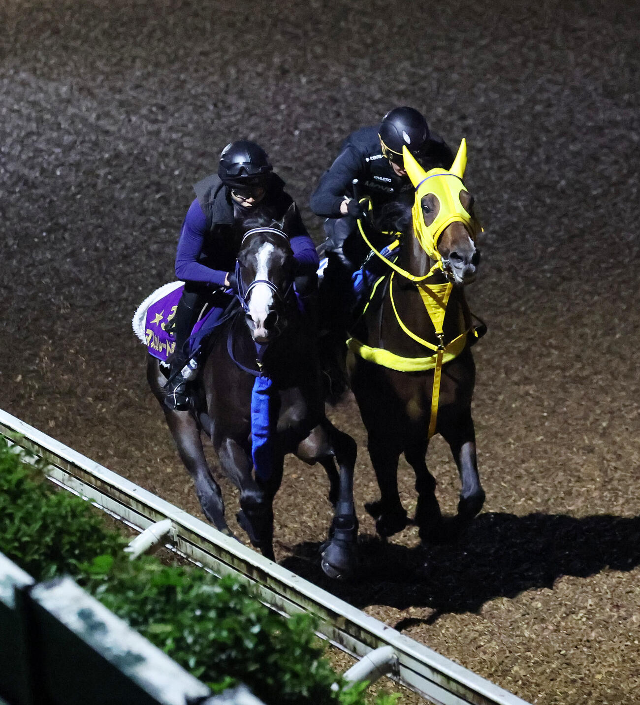 美浦坂路で追い切るマスカレードボール（左）（撮影・鈴木正人）