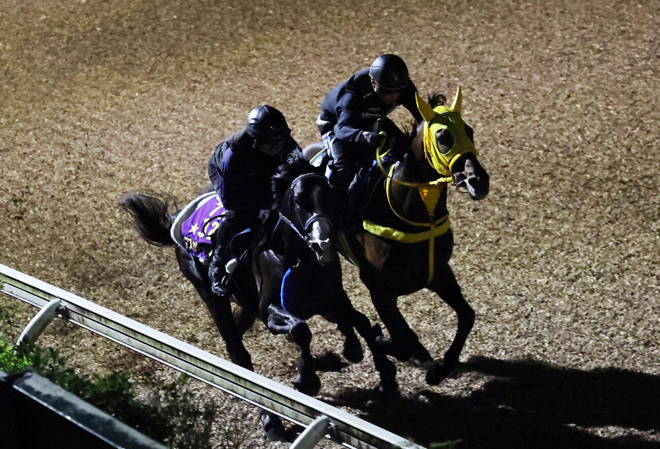 美浦坂路で追い切るマスカレードボール（左）（撮影・鈴木正人）