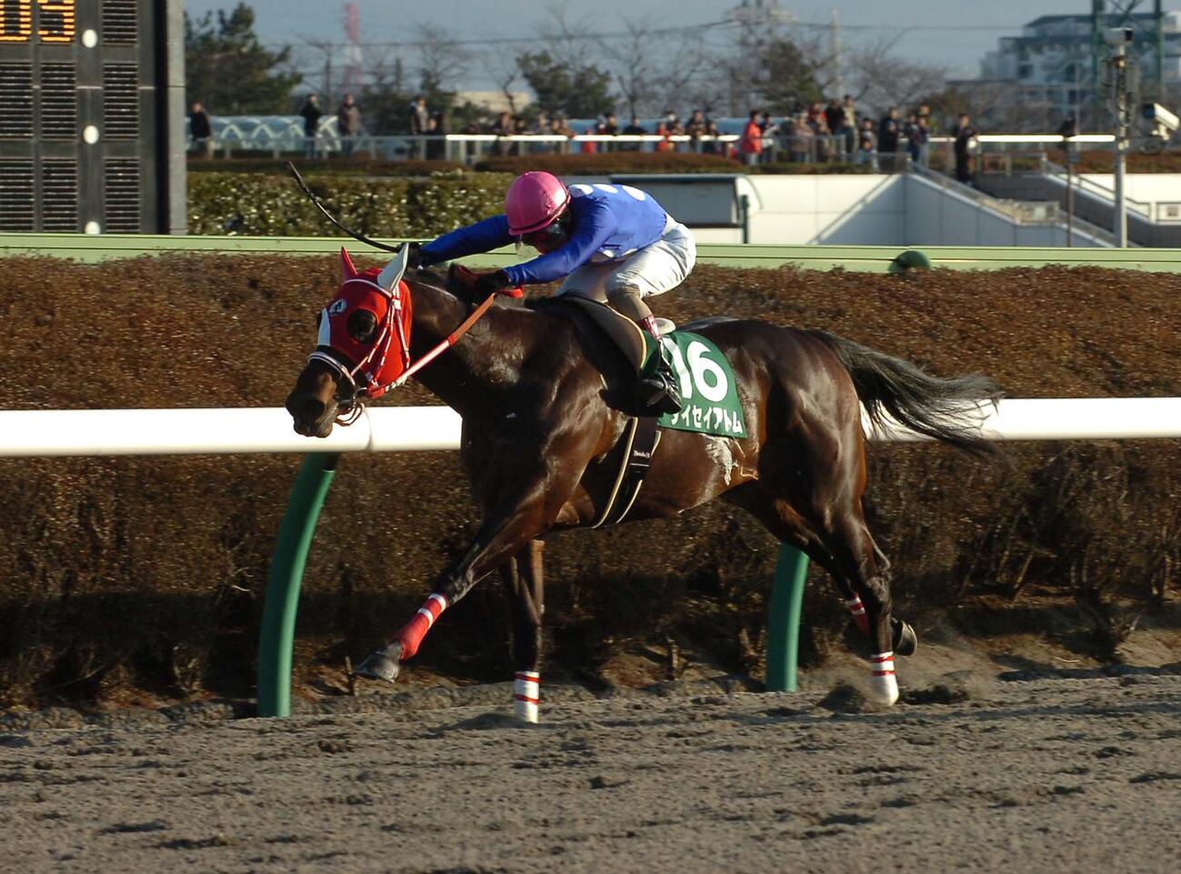 08年、ガーネットSを制したタイセイアトム