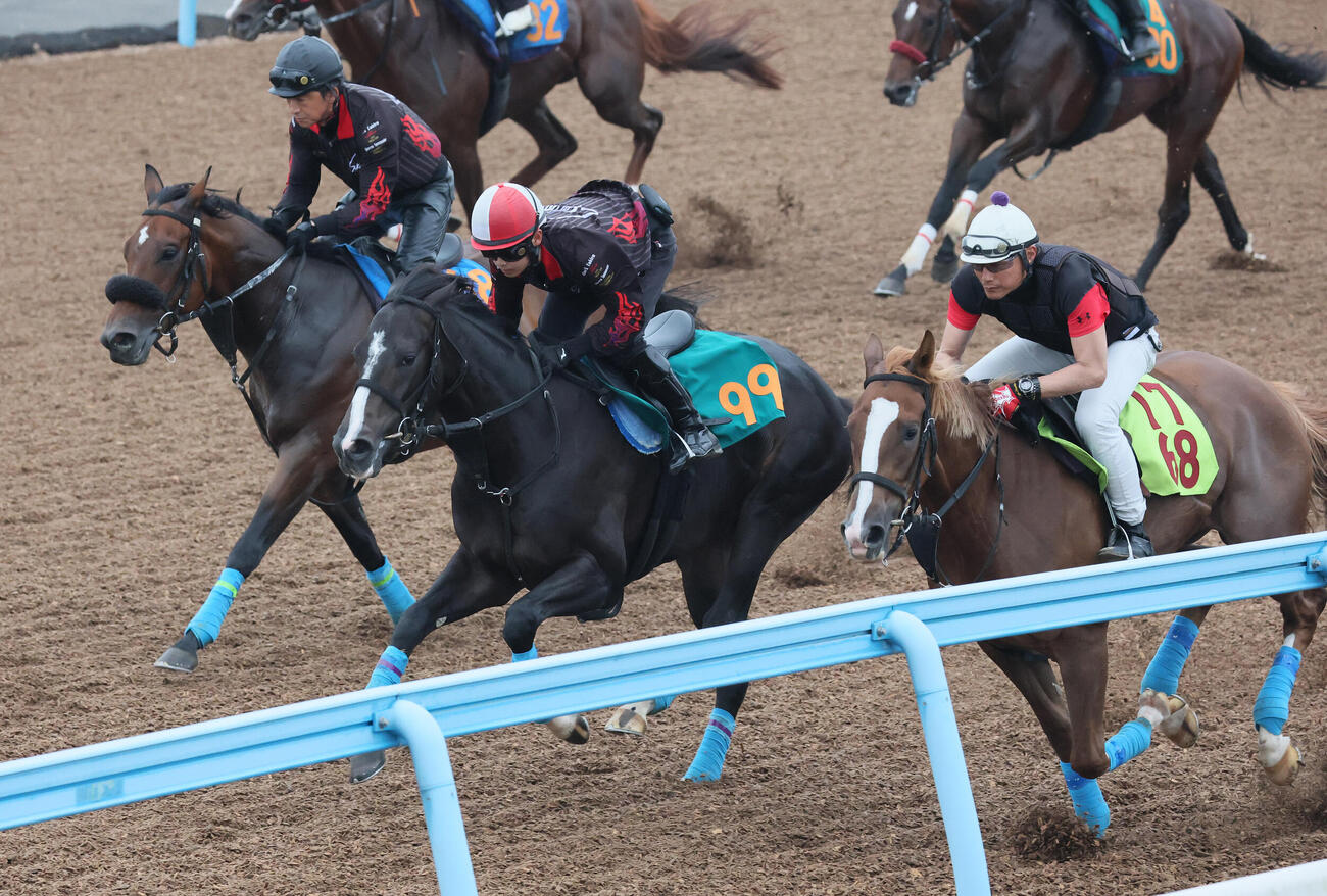 1日、タクミオジュウ（中央）はデビュー戦に向けて美浦ウッドを3頭併せで追い切られた
