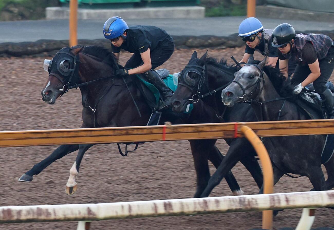 1日、団野大成騎手背に3頭併せで好タイムをマークしたエルドボルグ（左）