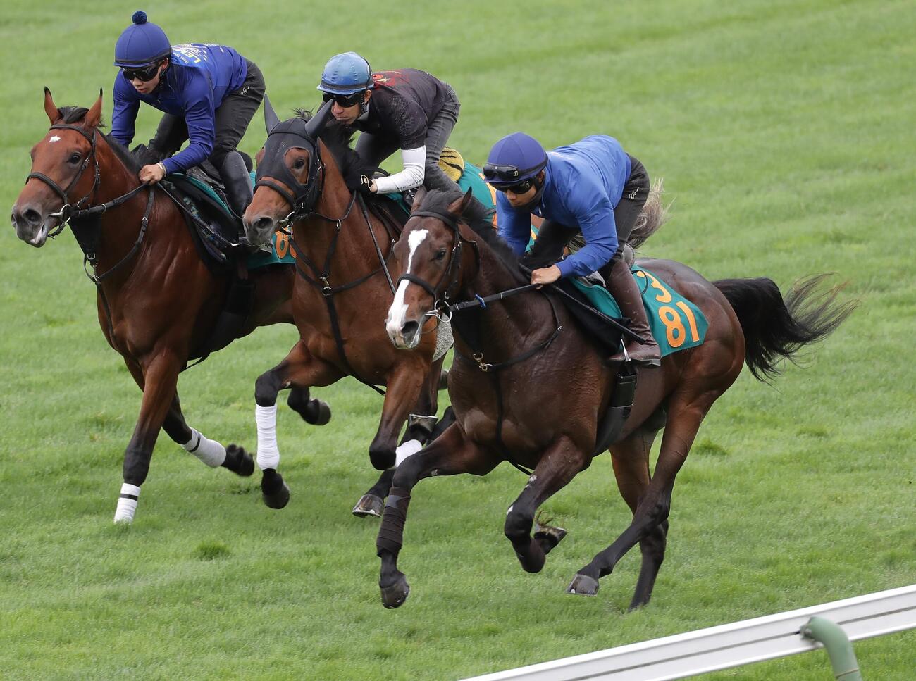 佐々木大輔騎手を背に、芝コースで併せ馬で追い切られるアルデシンザン（右）