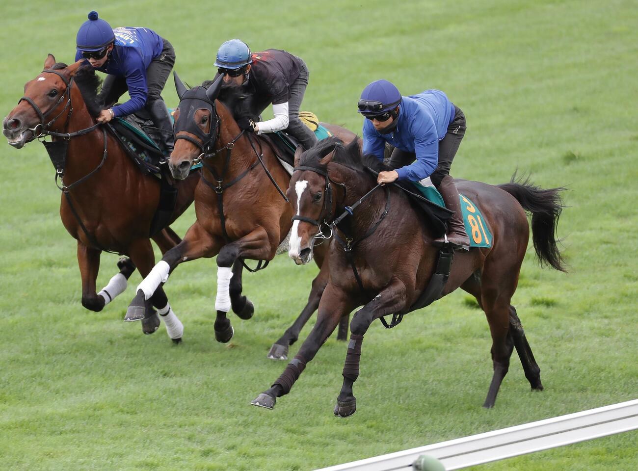 佐々木大輔騎手を背に、芝コースで併せ馬で追い切られるアルデシンザン（右）