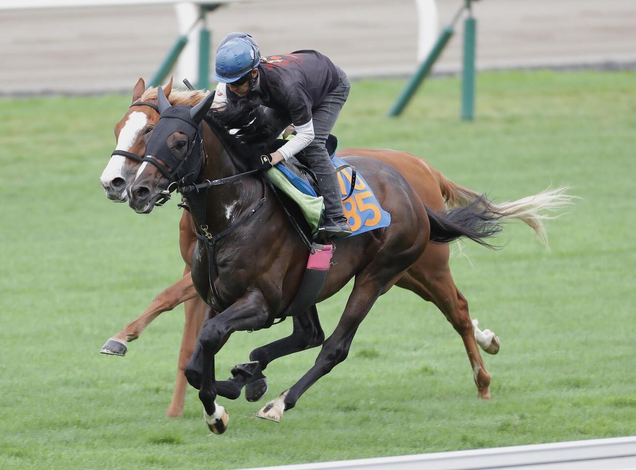 丹内祐次騎手を背に、芝コースで併せ馬で追い切られるシルトホルン（手前）