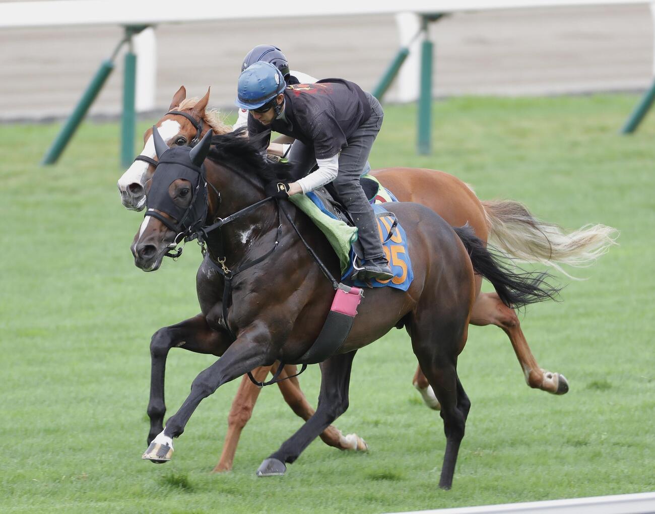 丹内祐次騎手を背に、芝コースで併せ馬で追い切られるシルトホルン（手前）