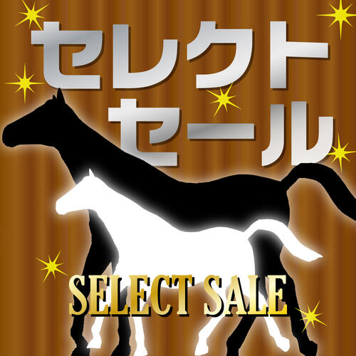 セレクトセール】3冠牝馬の半弟に4・1億円！藤田晋氏は億超え6頭