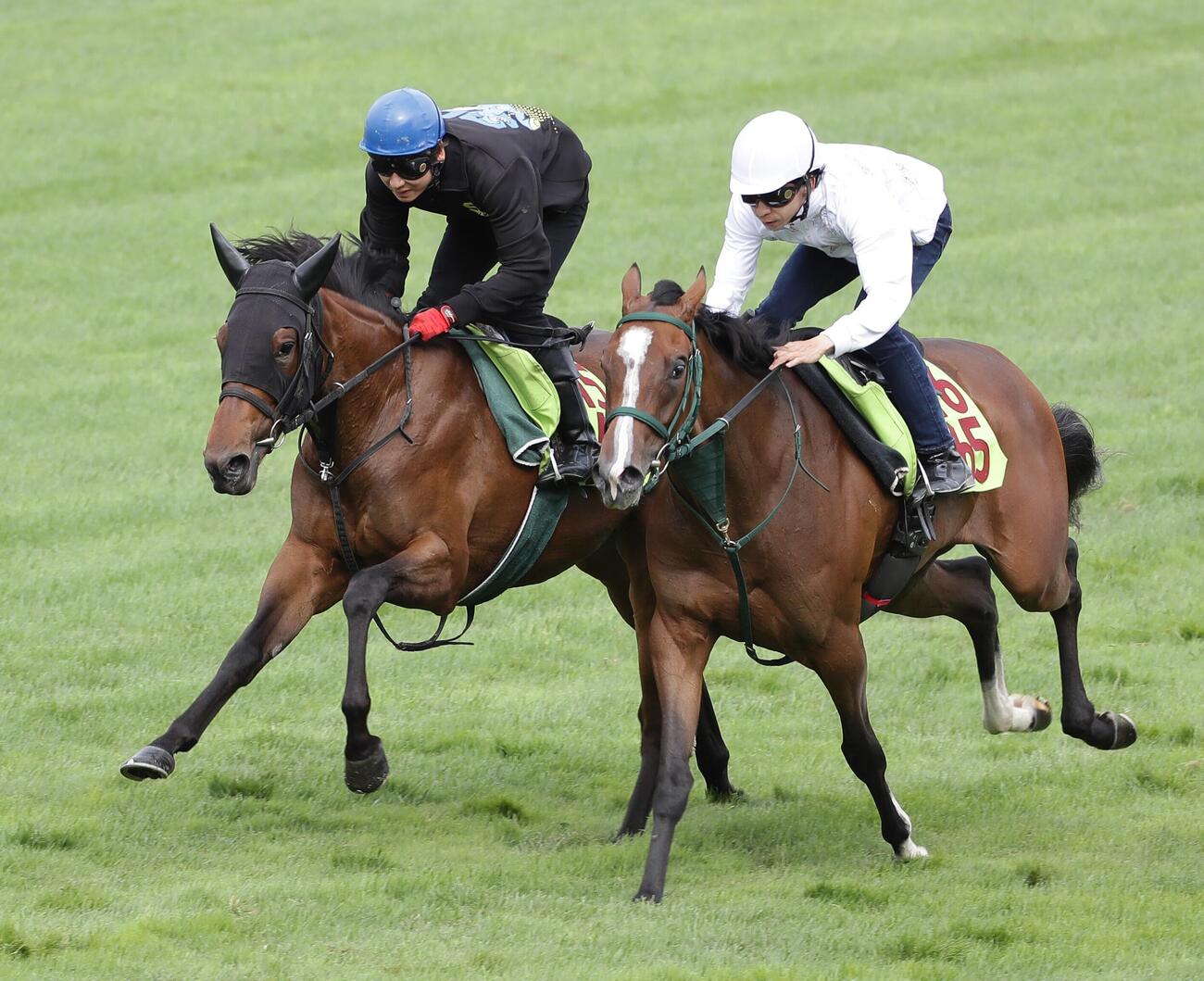 芝コースで併せ馬で追い切られるニーナラルゴ（左）