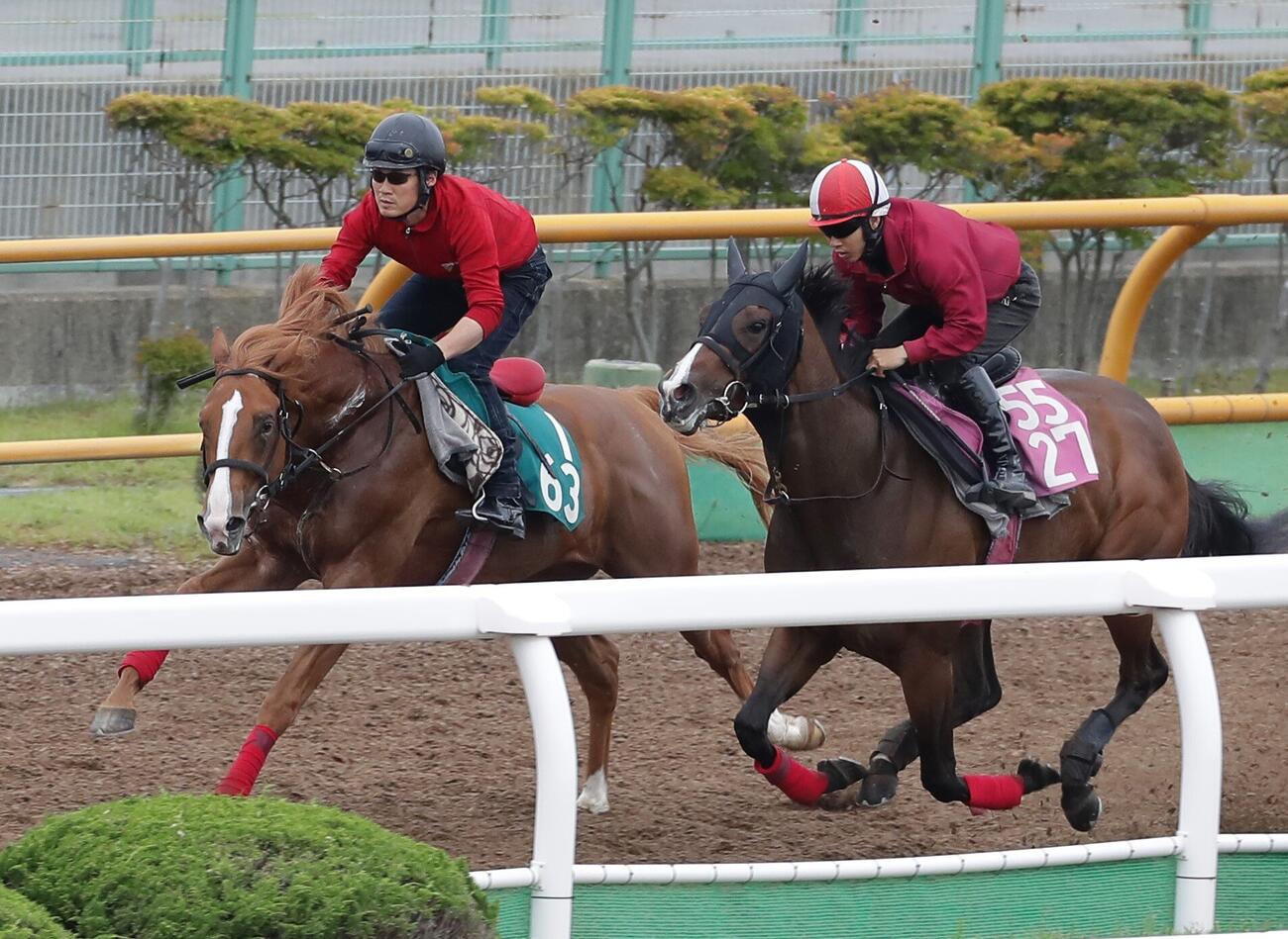 ウッドチップコースで併せ馬で追い切られるイッペイ（左）