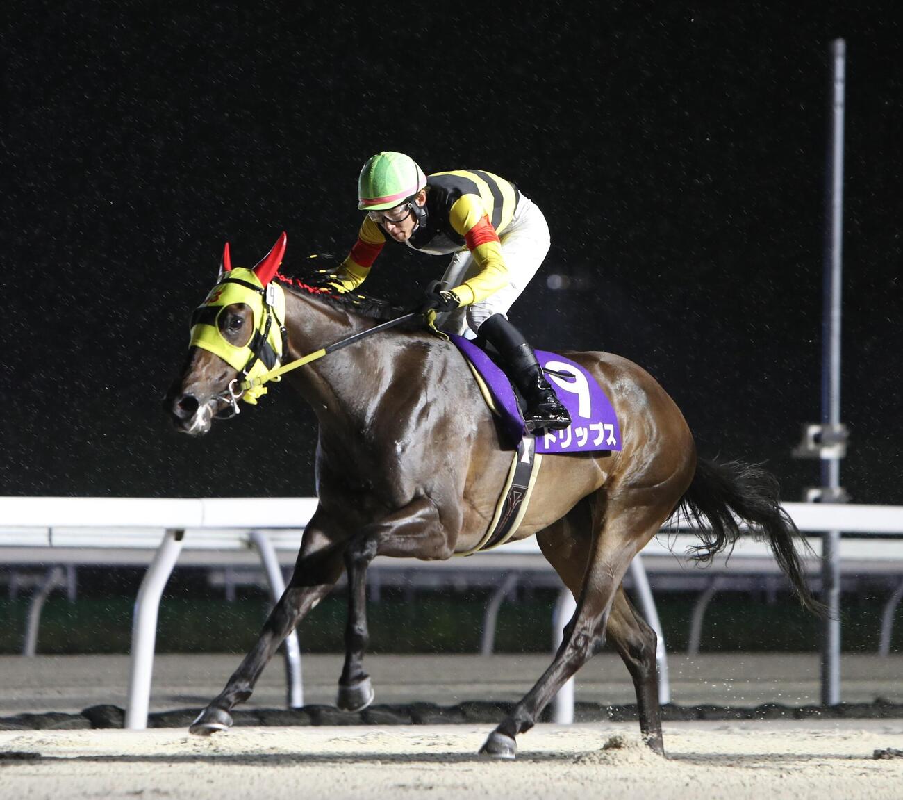 重賞2連勝で星雲賞を制したトリップス（騎手・小野楓馬）