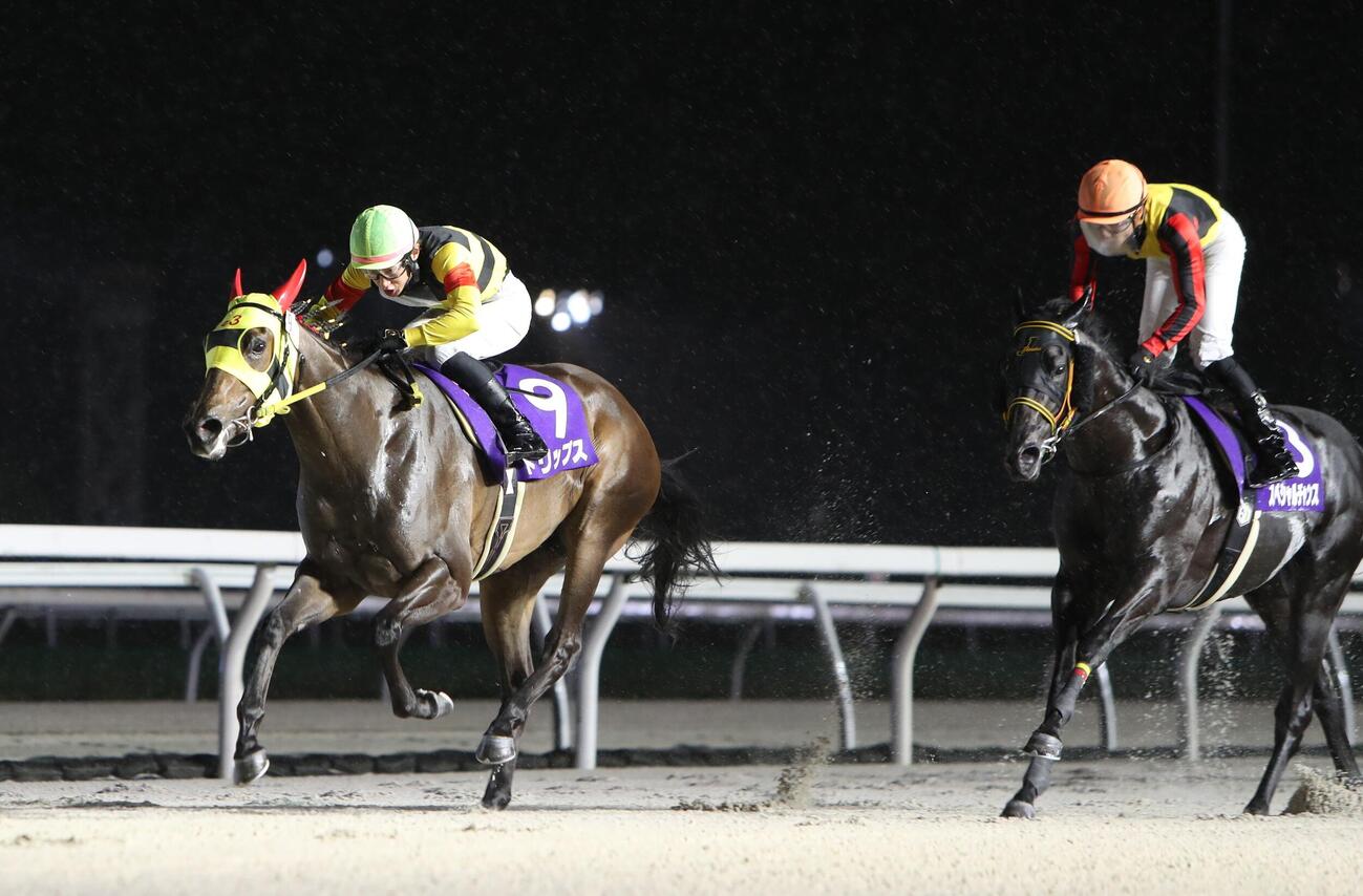 重賞2連勝で星雲賞を制したトリップス（騎手・小野楓馬）