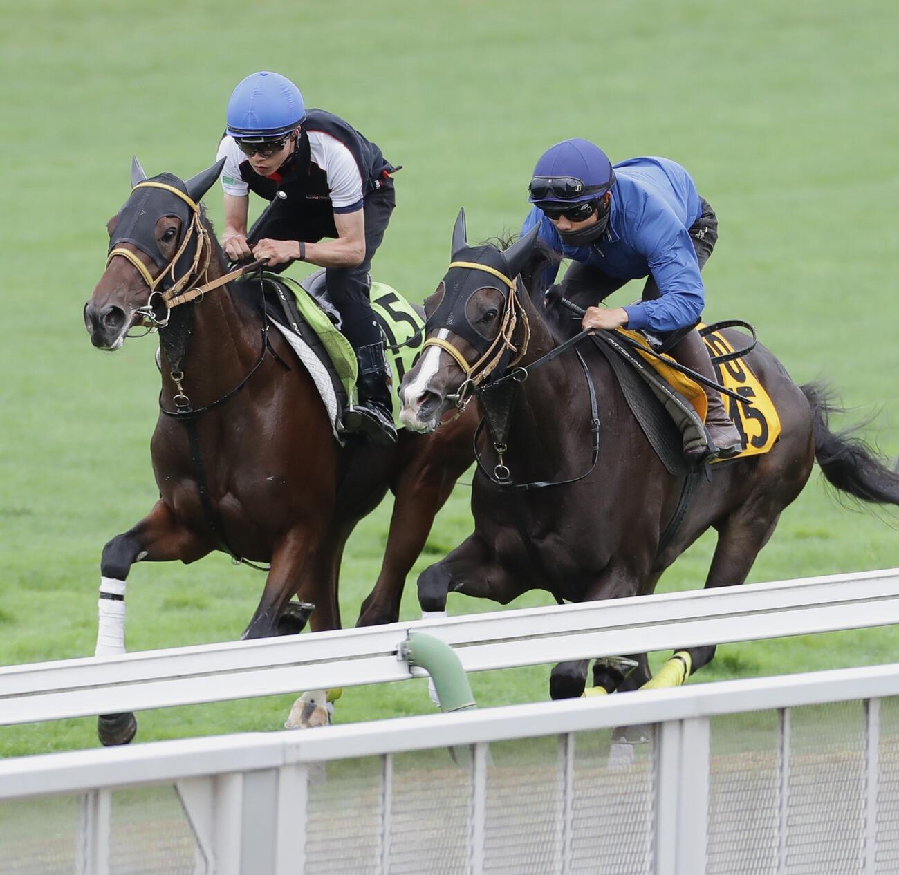 芝コースで併せ馬で追い切られるリラカリス（左）
