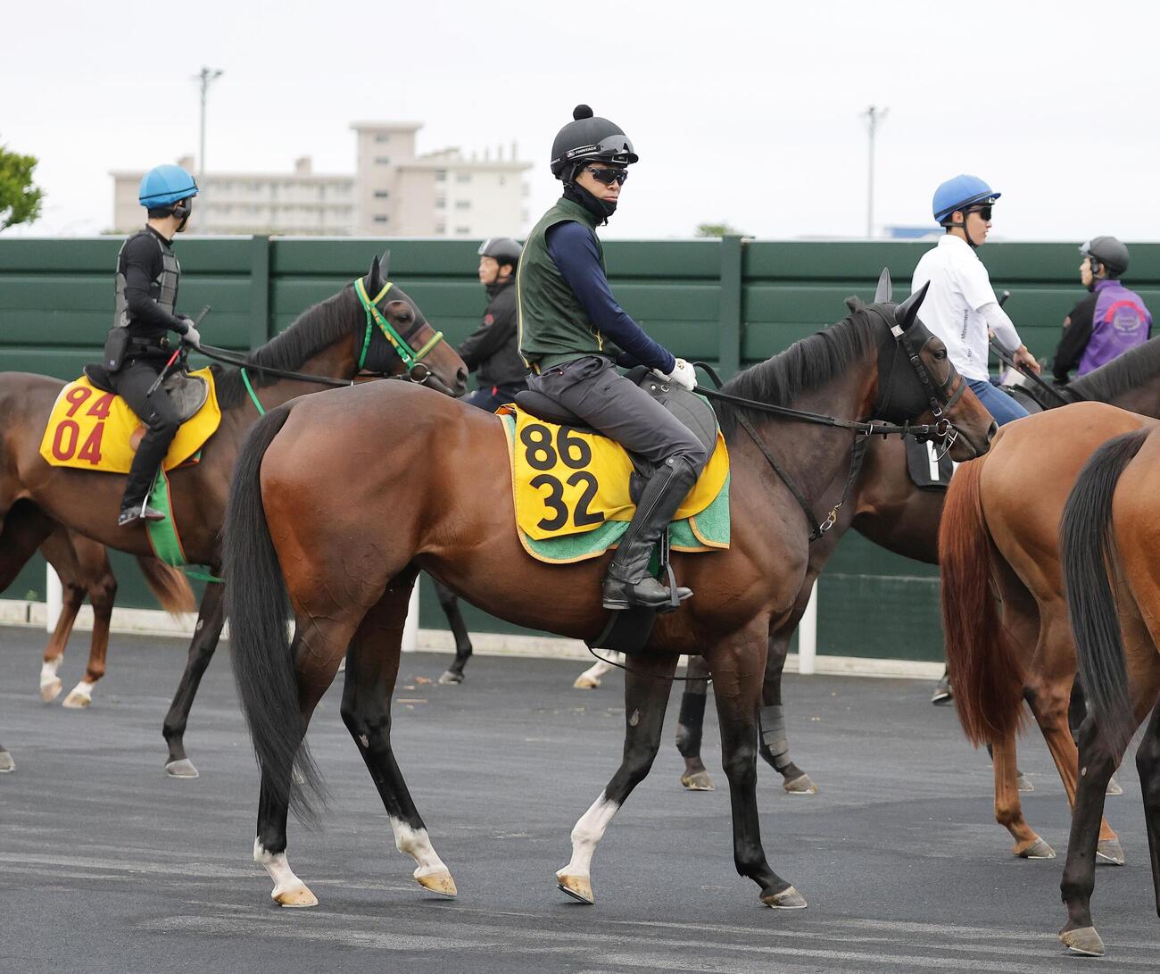 函館競馬場で調整するエラトー